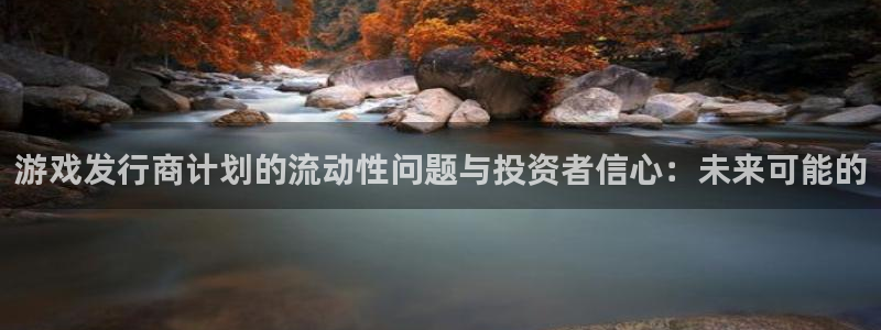 陕西新宝GG子文化创意是什么：游戏发行商计划的流动性问题与投资者信心：未来可能的