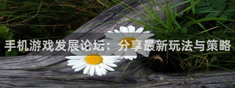 新宝GG子财经丛书