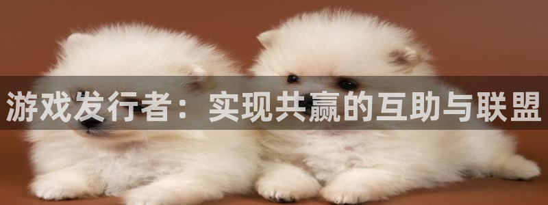 深圳市新宝GG科技有限招聘公司