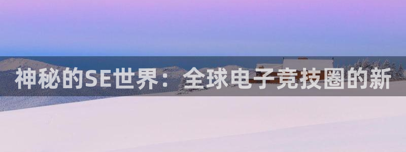 新宝GG官网登录注册不了怎么回事：神秘的SE世界：全球电子竞技圈的新