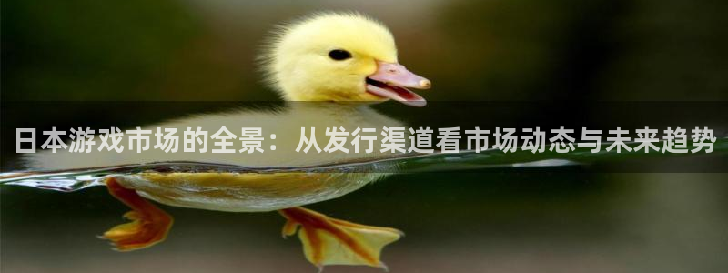 新宝GGlvnces是什么档次：日本游戏市场的全景：从发行渠道看市场动态与未来趋势