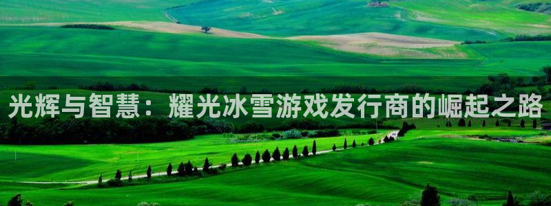 新宝GG子经理人读后感：光辉与智慧：耀光冰雪游戏发行商的崛起之路