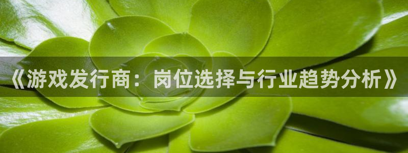 新宝GG品牌顾问有限公司