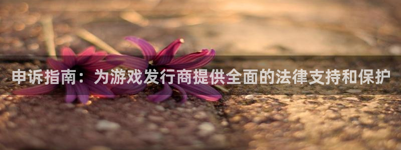 新宝GG子文化是干嘛的