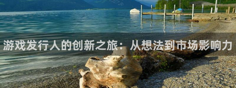新宝GG官网注册方法视频：游戏发行人的创新之旅：从想法到市场影响力
